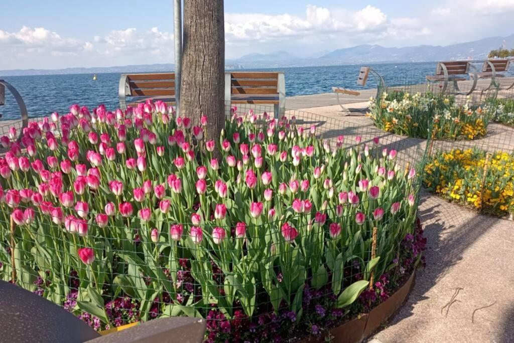 Francesca'S Home Bardolino Luaran gambar
